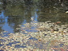 photo thumbnail #15