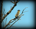 photo thumbnail #13