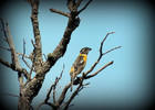 photo thumbnail #14