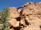 photo thumbnail #5