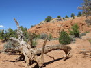 photo thumbnail #6