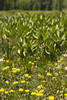 photo thumbnail #14