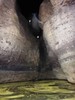 photo thumbnail #10