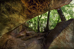 photo thumbnail #11