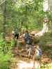 photo thumbnail #4