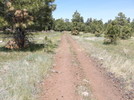 photo thumbnail #2