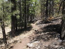 photo thumbnail #5