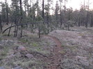 photo thumbnail #7
