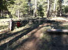photo thumbnail #9