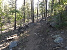 photo thumbnail #10