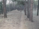 photo thumbnail #14