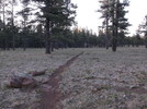photo thumbnail #15
