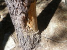 photo thumbnail #7