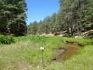 photo thumbnail #8