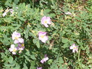 photo thumbnail #11