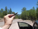 photo thumbnail #1