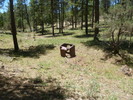 photo thumbnail #3