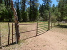 photo thumbnail #9