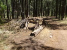 photo thumbnail #11