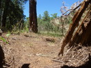 photo thumbnail #12