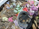 photo thumbnail #4