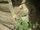 photo thumbnail #15