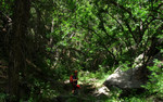 photo thumbnail #2