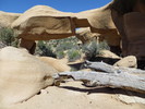 photo thumbnail #1