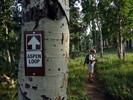 photo thumbnail #1