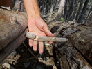 photo thumbnail #2