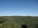 photo thumbnail #15