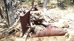 photo thumbnail #7
