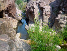Featured Detail Photo