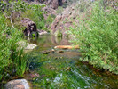 photo thumbnail #11