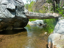 photo thumbnail #12