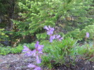 photo thumbnail #8