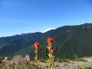 photo thumbnail #9