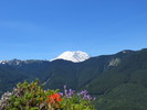 photo thumbnail #14