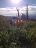 photo thumbnail #7