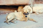 photo thumbnail #14
