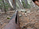 photo thumbnail #7