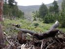 photo thumbnail #12