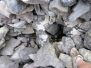 photo thumbnail #14
