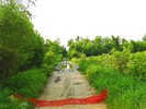 photo thumbnail #9
