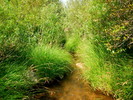 photo thumbnail #1