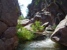 photo thumbnail #11