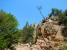 photo thumbnail #13