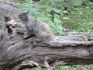 photo thumbnail #3