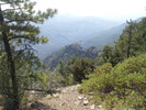photo thumbnail #9