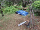 photo thumbnail #8